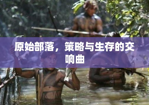 原始部落，策略與生存的交響曲