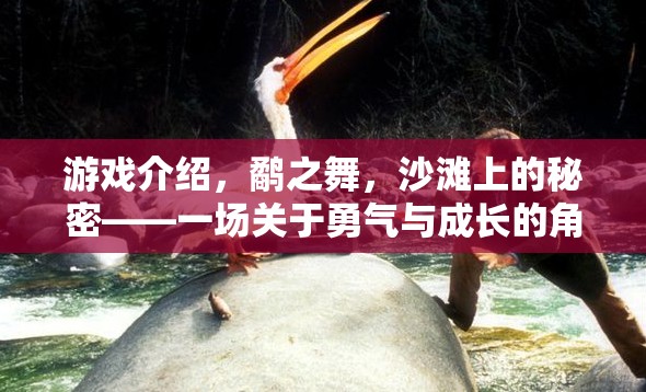 鷸之舞，沙灘上的秘密——勇氣與成長(zhǎng)的冒險(xiǎn)之旅  第1張