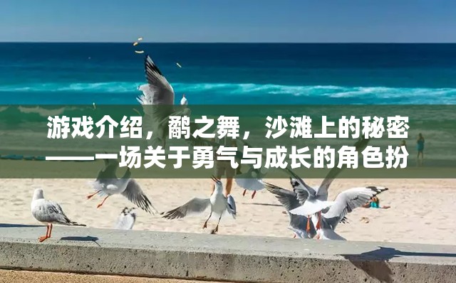 鷸之舞，沙灘上的秘密——勇氣與成長(zhǎng)的冒險(xiǎn)之旅  第2張