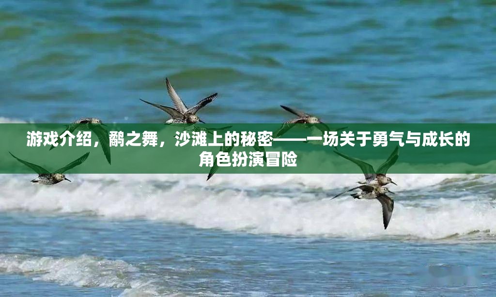 鷸之舞，沙灘上的秘密——勇氣與成長(zhǎng)的冒險(xiǎn)之旅  第3張