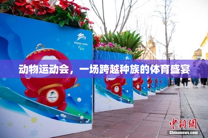 跨越種族的體育盛宴，動(dòng)物運(yùn)動(dòng)會(huì)