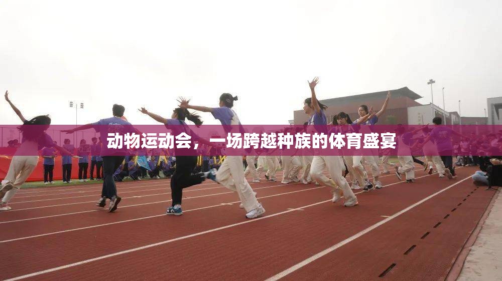 跨越種族的體育盛宴，動(dòng)物運(yùn)動(dòng)會(huì)