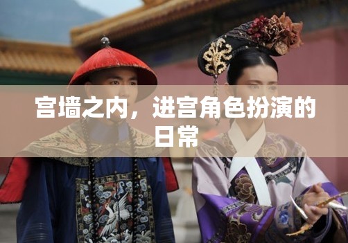 宮墻之內(nèi)的角色扮演，進(jìn)宮日常的秘密  第1張