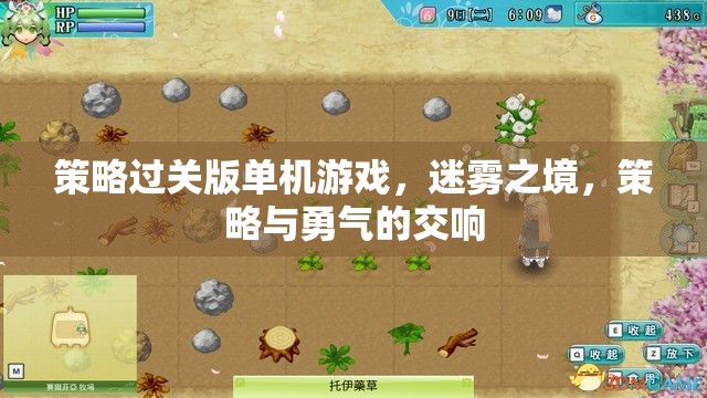 迷霧之境，策略與勇氣的交響