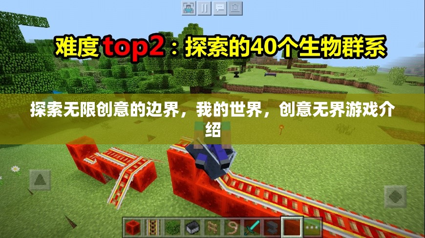 探索無限創(chuàng)意，我的世界——創(chuàng)意無界游戲深度解析  第2張
