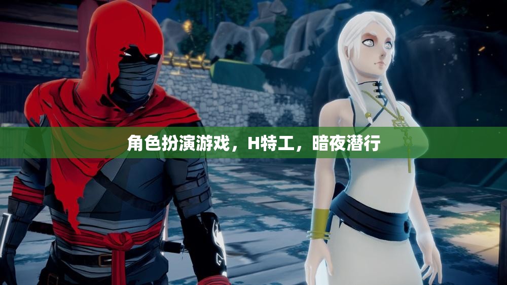 暗夜?jié)撔?，H特工的角色扮演游戲之旅