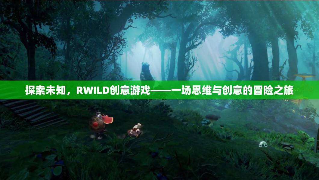 RWILD創(chuàng)意游戲，一場探索未知的思維與創(chuàng)意冒險(xiǎn)之旅