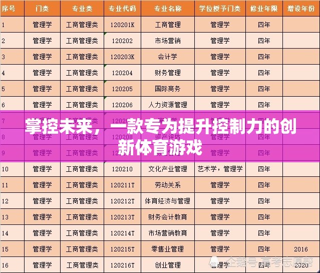 掌控未來，一款提升控制力的創(chuàng)新體育游戲