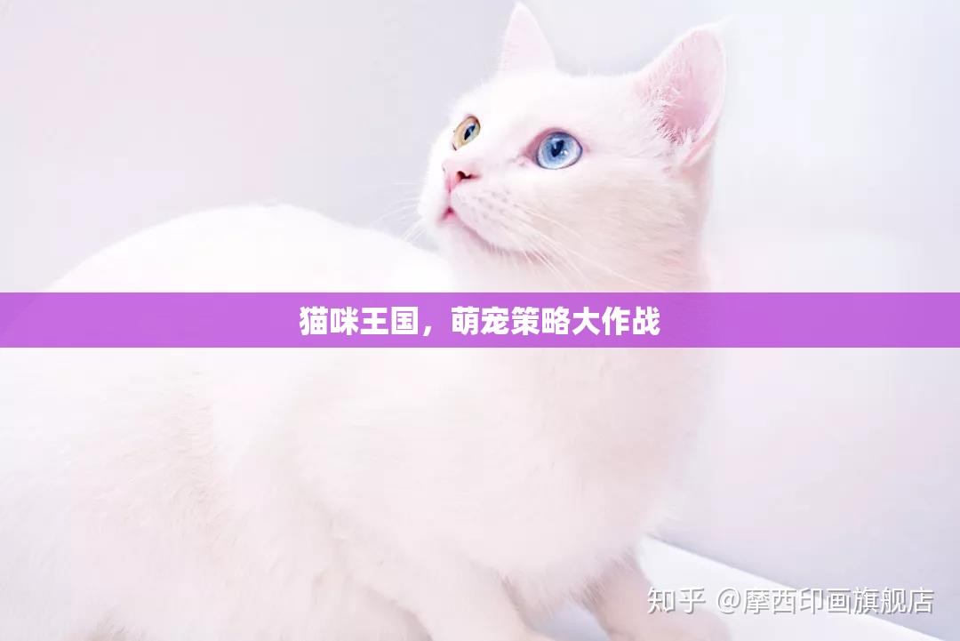 萌寵策略大作戰(zhàn)，貓咪王國的奇妙冒險  第1張