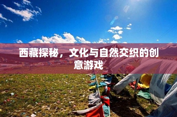 西藏探秘，文化與自然交織的創(chuàng)意游戲