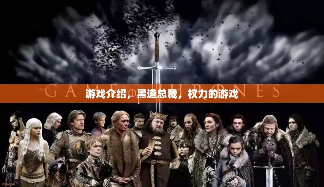 黑道總裁，權(quán)力的游戲——體驗商界與權(quán)謀的雙重挑戰(zhàn)