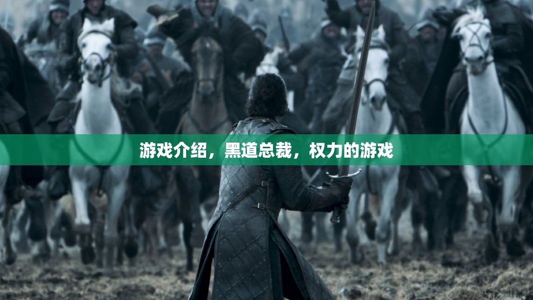 黑道總裁，權(quán)力的游戲——體驗商界與權(quán)謀的雙重挑戰(zhàn)