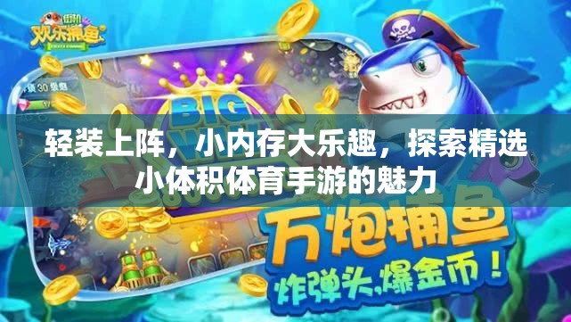 小內(nèi)存大樂(lè)趣，探索精選小體積體育手游的魅力