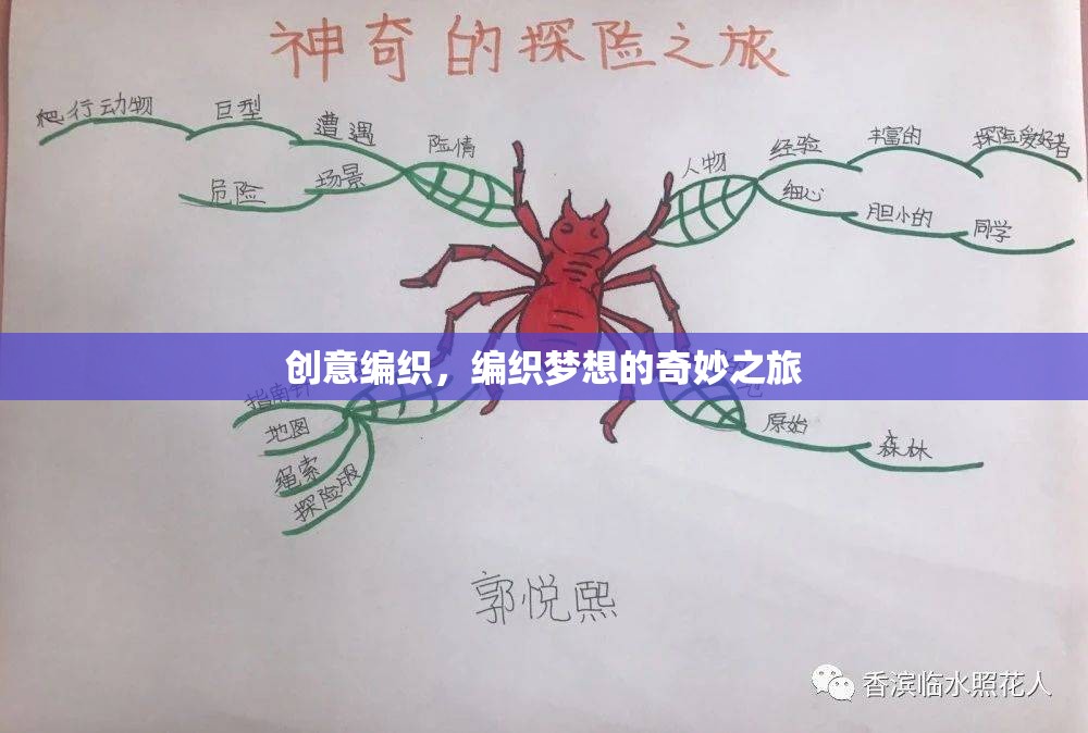 編織夢(mèng)想，創(chuàng)意編織的奇妙之旅