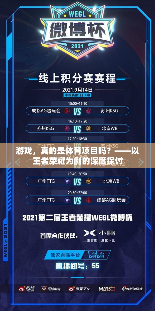 王者榮耀，游戲是否應(yīng)被視為體育項目？