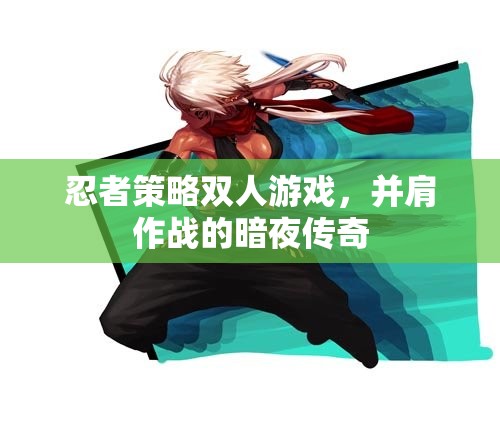暗夜傳奇，忍者策略雙人游戲并肩作戰(zhàn)的冒險
