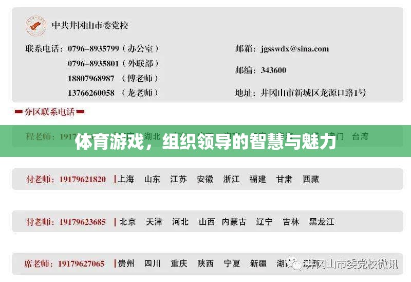 體育游戲中的領(lǐng)導智慧與魅力，激發(fā)團隊潛能的秘訣