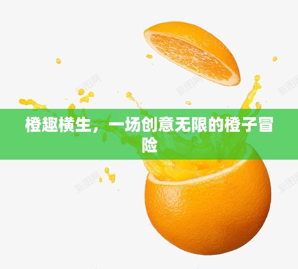 橙趣橫生，一場(chǎng)創(chuàng)意無(wú)限的橙子冒險(xiǎn)