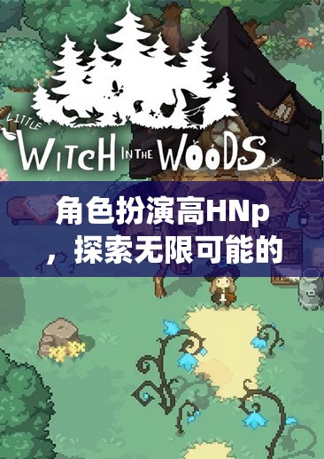 高HNp的奇幻之旅，解鎖角色扮演的無(wú)限可能  第2張