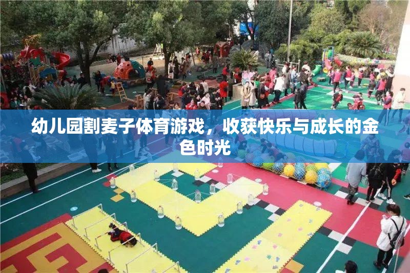 金色時(shí)光幼兒園割麥子體育游戲，收獲快樂與成長(zhǎng)