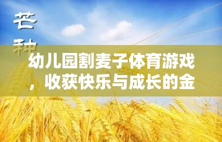 金色時(shí)光幼兒園割麥子體育游戲，收獲快樂與成長(zhǎng)