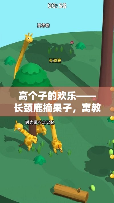 高個(gè)子的歡樂(lè)，長(zhǎng)頸鹿摘果子——寓教于樂(lè)的體育游戲新體驗(yàn)