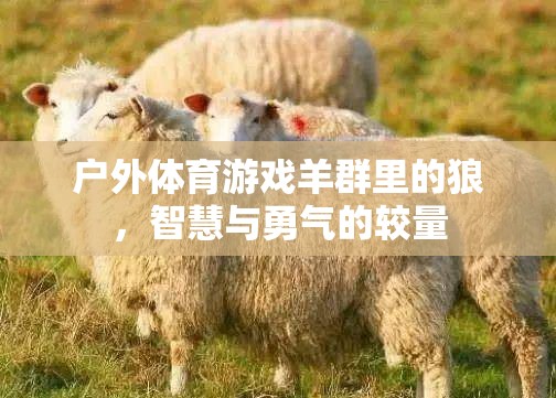 智慧與勇氣的較量，戶外體育游戲羊群里的狼挑戰(zhàn)  第1張