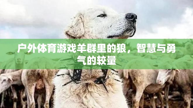 智慧與勇氣的較量，戶外體育游戲羊群里的狼挑戰(zhàn)  第2張