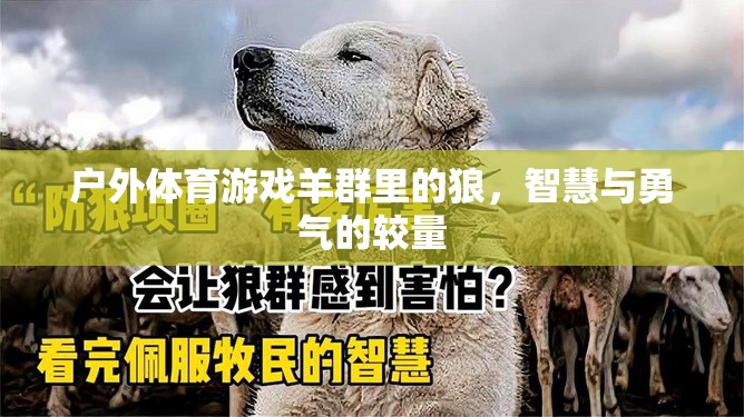 智慧與勇氣的較量，戶外體育游戲羊群里的狼挑戰(zhàn)  第3張