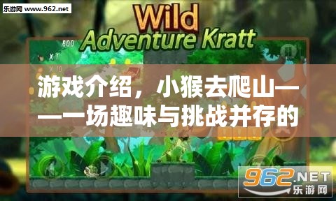 小猴的登山挑戰(zhàn)，一場融合趣味與挑戰(zhàn)的體育冒險之旅
