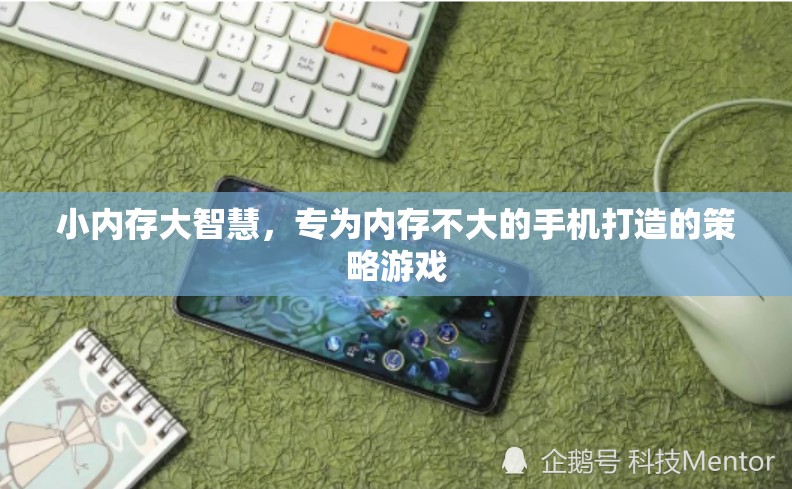小內(nèi)存大智慧，專為內(nèi)存有限的手機(jī)設(shè)計(jì)的策略游戲  第3張