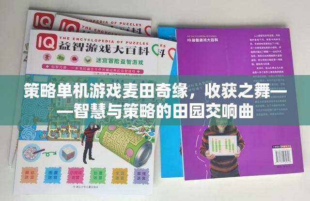 策略單機(jī)游戲麥田奇緣，收獲之舞——智慧與策略的田園交響曲