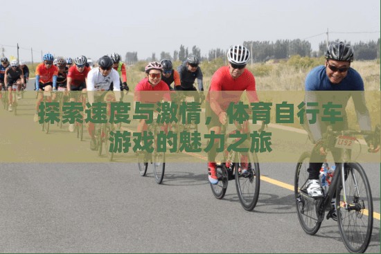 速度與激情，體育自行車游戲的魅力探索之旅