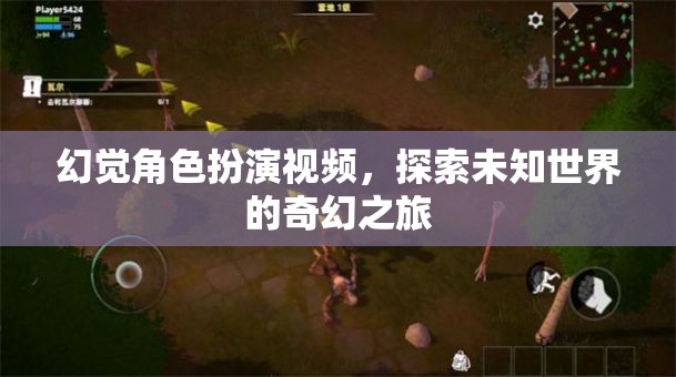 探索未知世界的奇幻之旅，幻覺角色扮演視頻的奇妙冒險