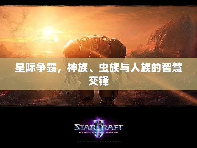 星際爭霸，神族、蟲族與人族的智慧對(duì)決