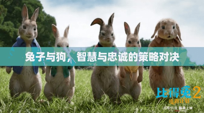 智慧與忠誠的較量，兔子與狗的策略對決