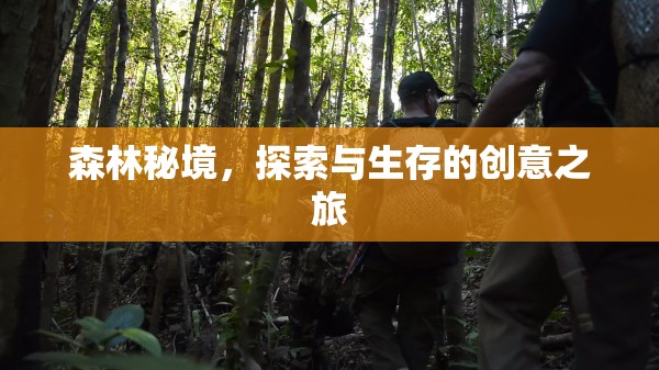 森林秘境，一場探索與生存的創(chuàng)意冒險(xiǎn)之旅