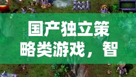 智謀與創(chuàng)意的璀璨星河，探索國產(chǎn)獨(dú)立策略游戲的魅力