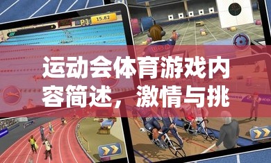 運動會體育游戲內容簡述，激情與挑戰(zhàn)的完美融合
