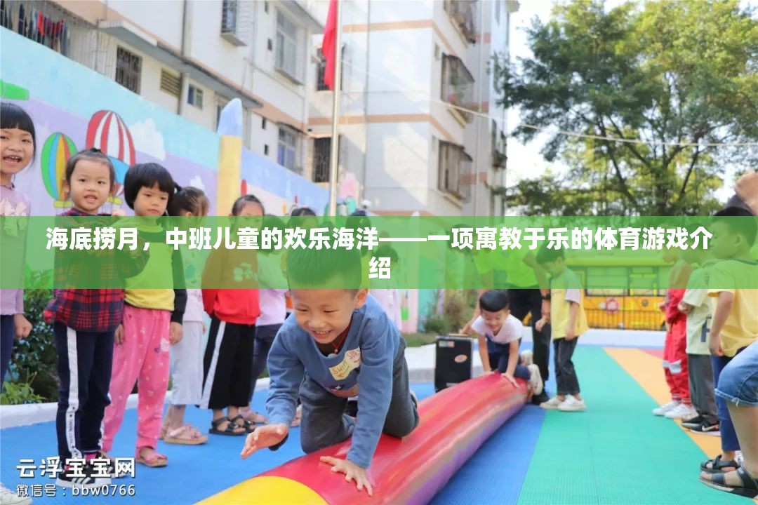 海底撈月，中班兒童的歡樂海洋——一項寓教于樂的體育游戲介紹
