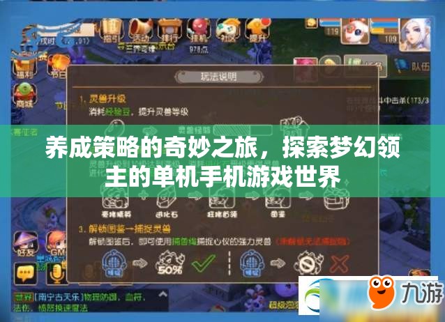 夢幻領(lǐng)主，養(yǎng)成策略的奇妙之旅