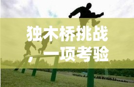 獨(dú)木橋挑戰(zhàn)，平衡與勇氣的極限考驗(yàn)