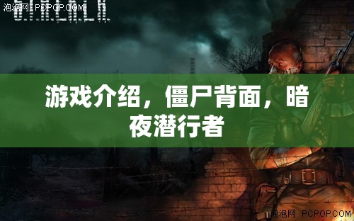 暗夜?jié)撔姓?，僵尸背面的驚悚冒險  第3張