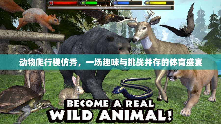 動物爬行模仿秀，趣味與挑戰(zhàn)并存的體育盛宴  第1張