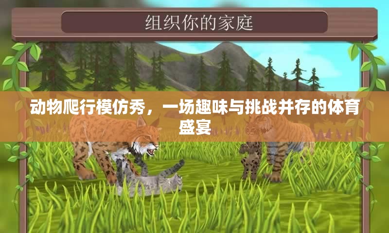 動物爬行模仿秀，趣味與挑戰(zhàn)并存的體育盛宴  第2張
