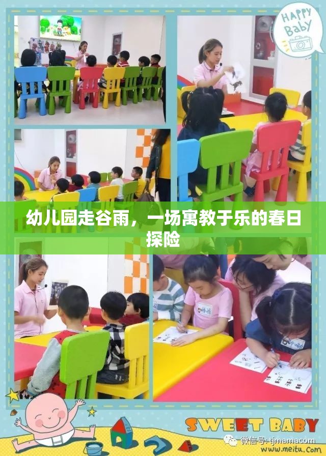 幼兒園走谷雨，一場寓教于樂的春日探險