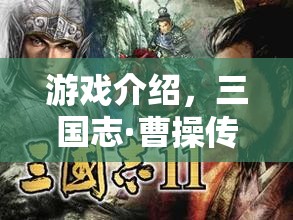 三國志·曹操傳，權(quán)謀與霸業(yè)的角色扮演之旅