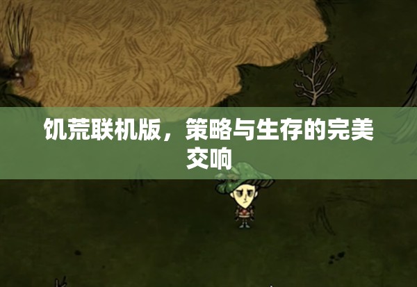 饑荒聯(lián)機(jī)版，策略與生存的完美交響