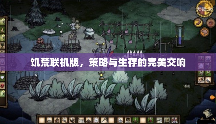 饑荒聯(lián)機(jī)版，策略與生存的完美交響