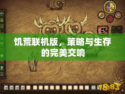 饑荒聯(lián)機(jī)版，策略與生存的完美交響
